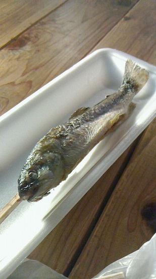 テント前で販売されていた川魚のいわなの塩焼きです。500円。